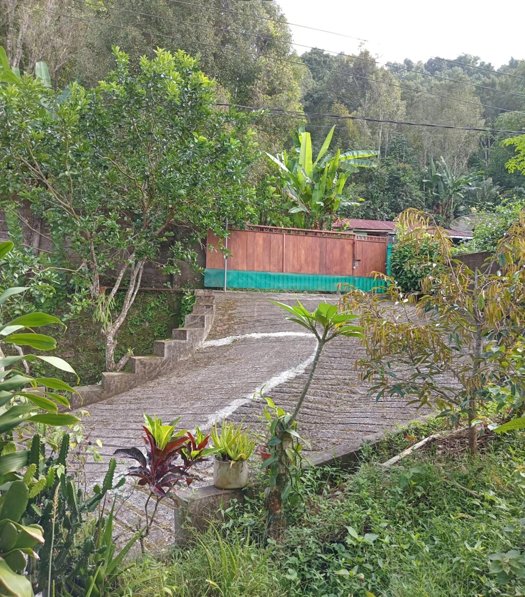 Kanaya Homestay & Warung Heaven Munduk Exterior foto